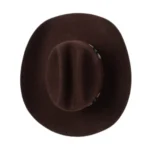 Dark Brown Cowboy Hat