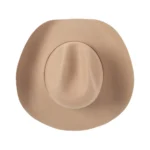 Men’s Brown Cowboy Hat