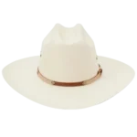 Grant cowboy hat 10x