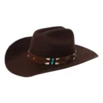 Dark Brown Cowboy Hat